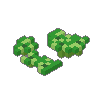 Clover 01