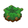 Fern 01