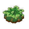Fern 02