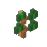 Ivy 01