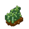 Nettles 02