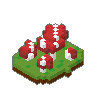 Toadstools 02