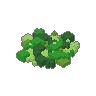 Duckweed 02