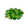 Duckweed 03