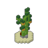 Kelp 01