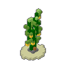 Kelp 02