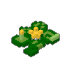 Lily Pads 01