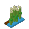Reeds 01