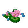 Water Lily 02